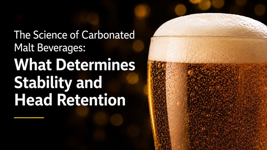 The science of Carbonated Malt Beverages: What Determines Stability and Head Retention